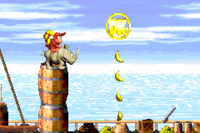 The DK Coin in Pirate Panic in Donkey Kong Country 2's Game Boy Advance remake.