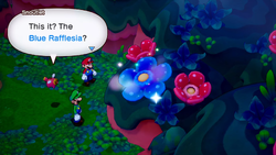 Mario and Luigi find the Blue Rafflesia on Raynforst Island.