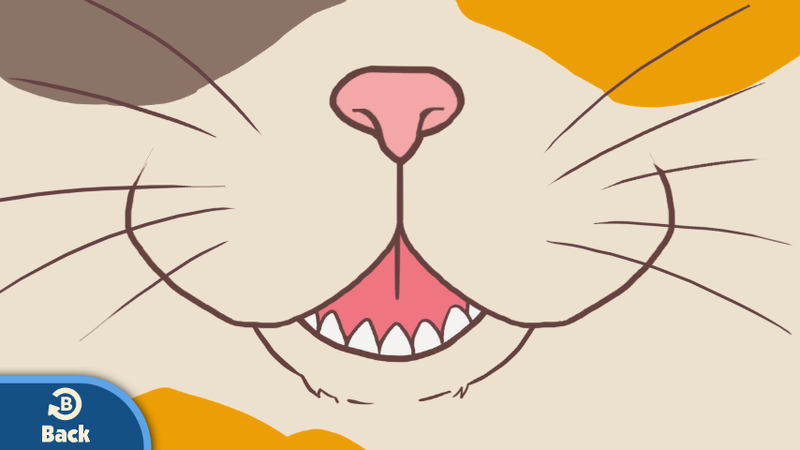File:G&W Prize Disguises Cat.png