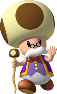 Artwork of Toadsworth in Super Mario Sunshine (also used in Mario Party 7, Mario Super Sluggers and Mario Party: The Top 100)