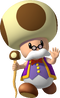 Artwork of Toadsworth in Super Mario Sunshine (also used in Mario Party 7, Mario Super Sluggers and Mario Party: The Top 100)