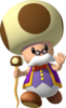 Artwork of Toadsworth in Super Mario Sunshine (also used in Mario Party 7, Mario Super Sluggers and Mario Party: The Top 100)