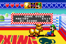 Game & Watch Gallery 4