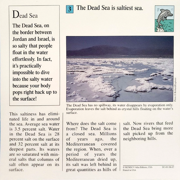 File:Saltiest quiz card back.png