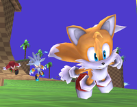 Screenshot of Tails, Silver, and Knuckles in the Green Hill Zone of Super Smash Bros. Brawl.