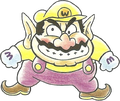 Wario Super Mario Land 2 - 6-tsu no Kinka 1, inside cover