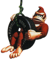 Donkey Kong
