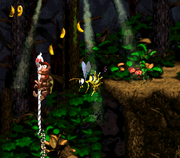 Ghostly Grove (Donkey Kong Country 2) - Super Mario Wiki, the Mario ...