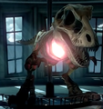 Ug possessing the Tyrannosaurus rex skeleton