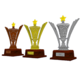 Star Cup Trophies