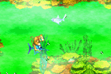 Poison Pond