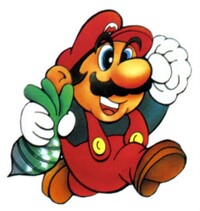 SMB2 Mario Jumping with Vegetable Artwork.jpg