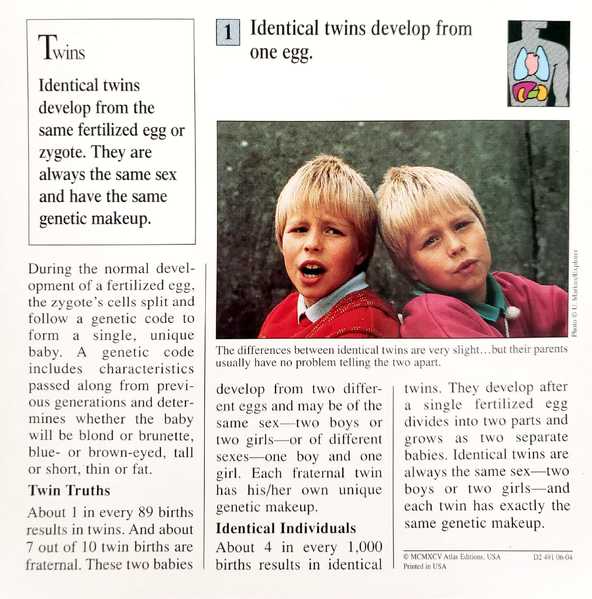 File:Twins quiz card back.png