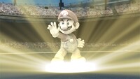 Mario Trophy transforms Brawl.jpg