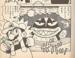 The Nanashi no Chōchin Ankō in Super Mario Land 3: Wario Land 3