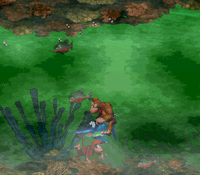 Poison Pond 4.png