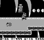 Mario exploring Whale Course.