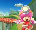 The course icon of the R variant with Toadette (Explorer)