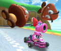 Thumbnail of the Birdo Cup challenge from the New Year's Tour; a Goomba Takedown challenge set on GCN Yoshi Circuit (reused as the Donkey Kong Cup's bonus challenge in the Piranha Plant Tour)