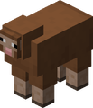 Brown sheep