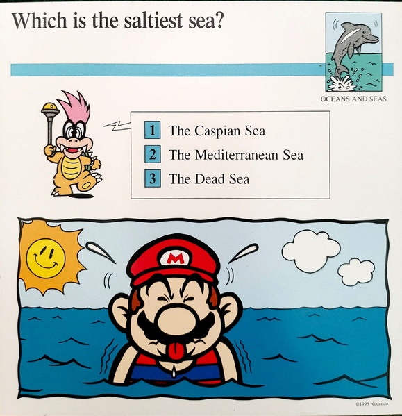 File:Saltiest quiz card.png