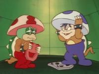 A screenshot from the The Adventures of Super Mario Bros. 3 episode, "True Colors".