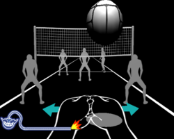 Volley, Y'all! in WarioWare: Smooth Moves.