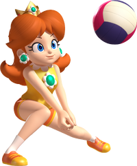 M&SATLOG Daisy Volleyball artwork.png