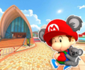 The course icon of the R variant with Baby Mario (Koala)