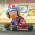 Pro Racer