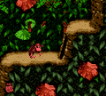 Diddy reveals an entrance to a Bonus Area in the Game Boy Color version