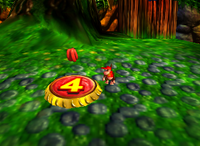 A red Banana Bunch in Fungi Forest.