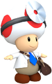 Dr. Toad