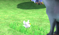 A small bird being found in Mario Sports Superstars