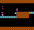 Super Mario Bros. 2 (World 3-2)