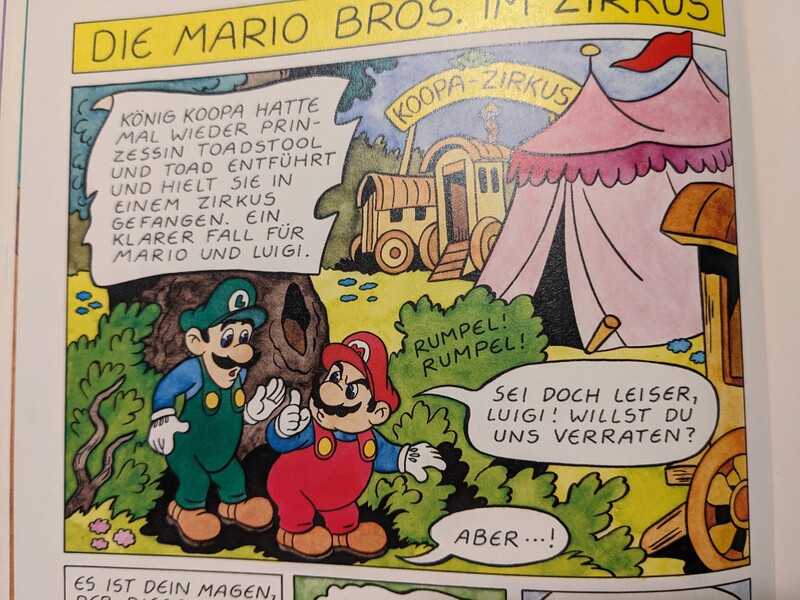 File:ZFS SMB Koopa Zirkus.jpg