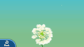 GamePad (Dandelion Fluff)