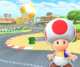 MKT Icon ToadCircuit3DS.png