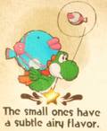 "The small ones have a subtle airy flavor." discovery from Bafloonder Habitat in Yoshi and the Mysterious Book