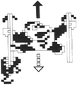 Donkey Kong Jr. (Famicom)