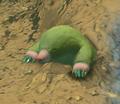 Green moles that appear around the Hilltop Layer