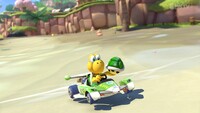 KoopaTroopa-AnimalCrossingSpring-MK8.jpg