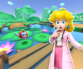 The course icon with Dr. Peach