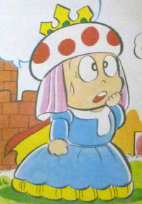 Princess Toadstool's mother