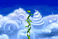 The beanstalk steadily grows.