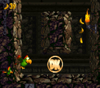 The location of the DK Coin of Castle Crush in Donkey Kong Country 2: Diddy's Kong Quest