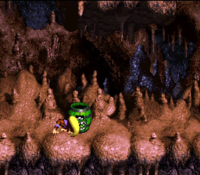 The glitched Knocka palette when it is picked up for List of Donkey Kong Country 3: Dixie Kong's Double Trouble! glitches