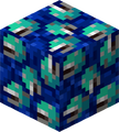 Warped Wart Block