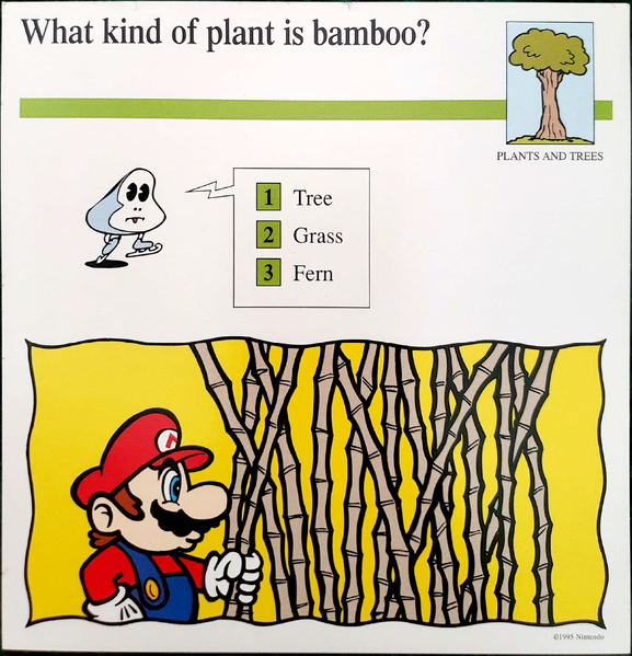 File:Bamboo quiz card.png