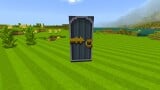 Ghost House door from New Super Mario Bros. Wii (Birch Door)